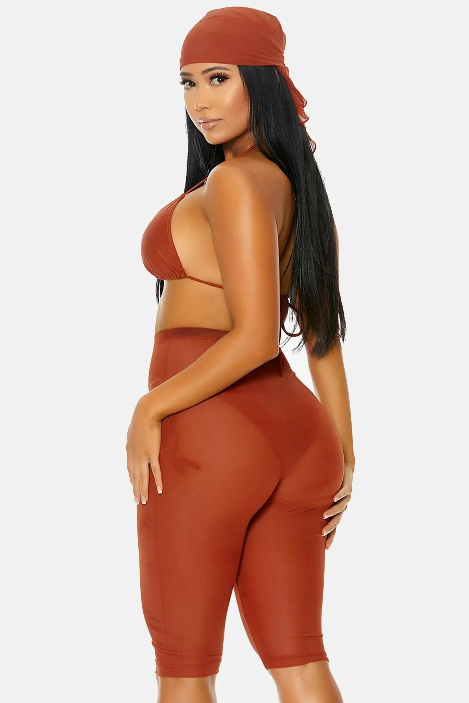Rust Coverup Sheer Swimwear High Waist Shorts